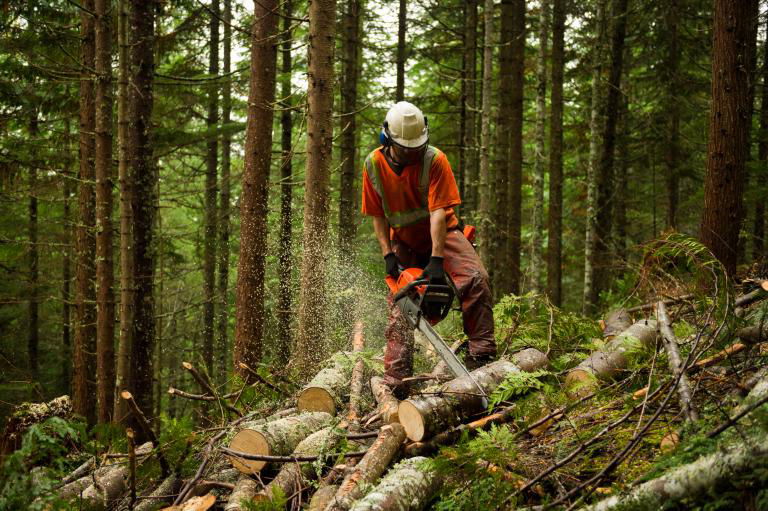 Waldarbeit – Werkzeug und Zubehör