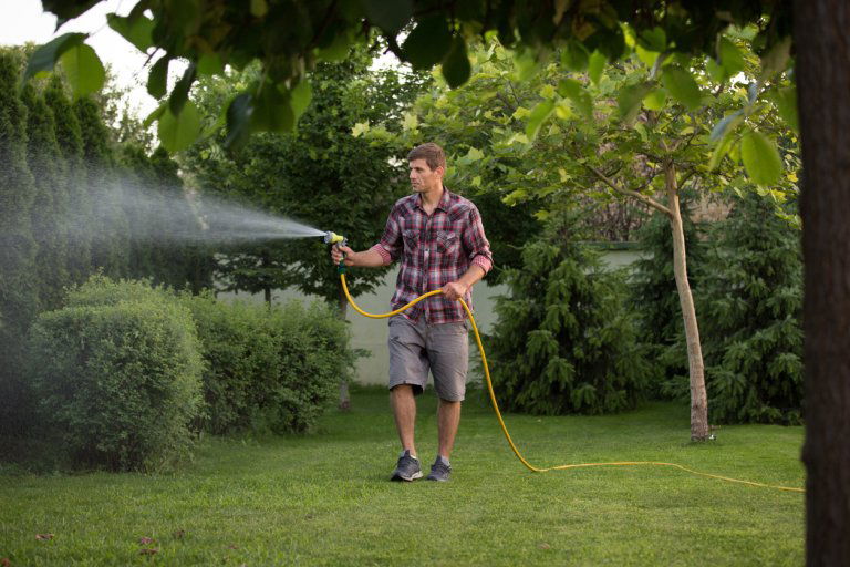 Gartenbewässerung leicht gemacht: So bleibt dein Garten immer grün